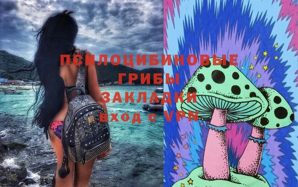 мяу мяу мука Алзамай