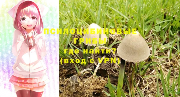 мяу мяу мука Алзамай