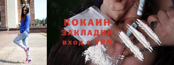 гашик Осинники