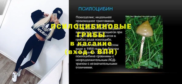 мяу мяу мука Алзамай
