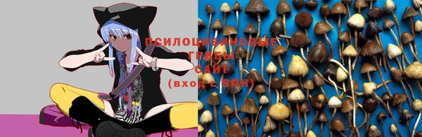 мяу мяу мука Алзамай