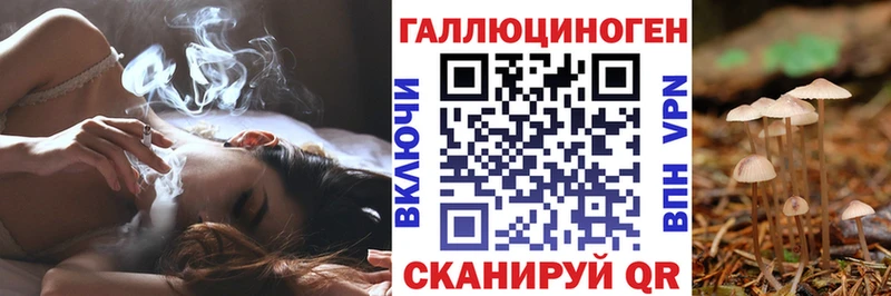 Галлюциногенные грибы мицелий дарнет шоп Могоча